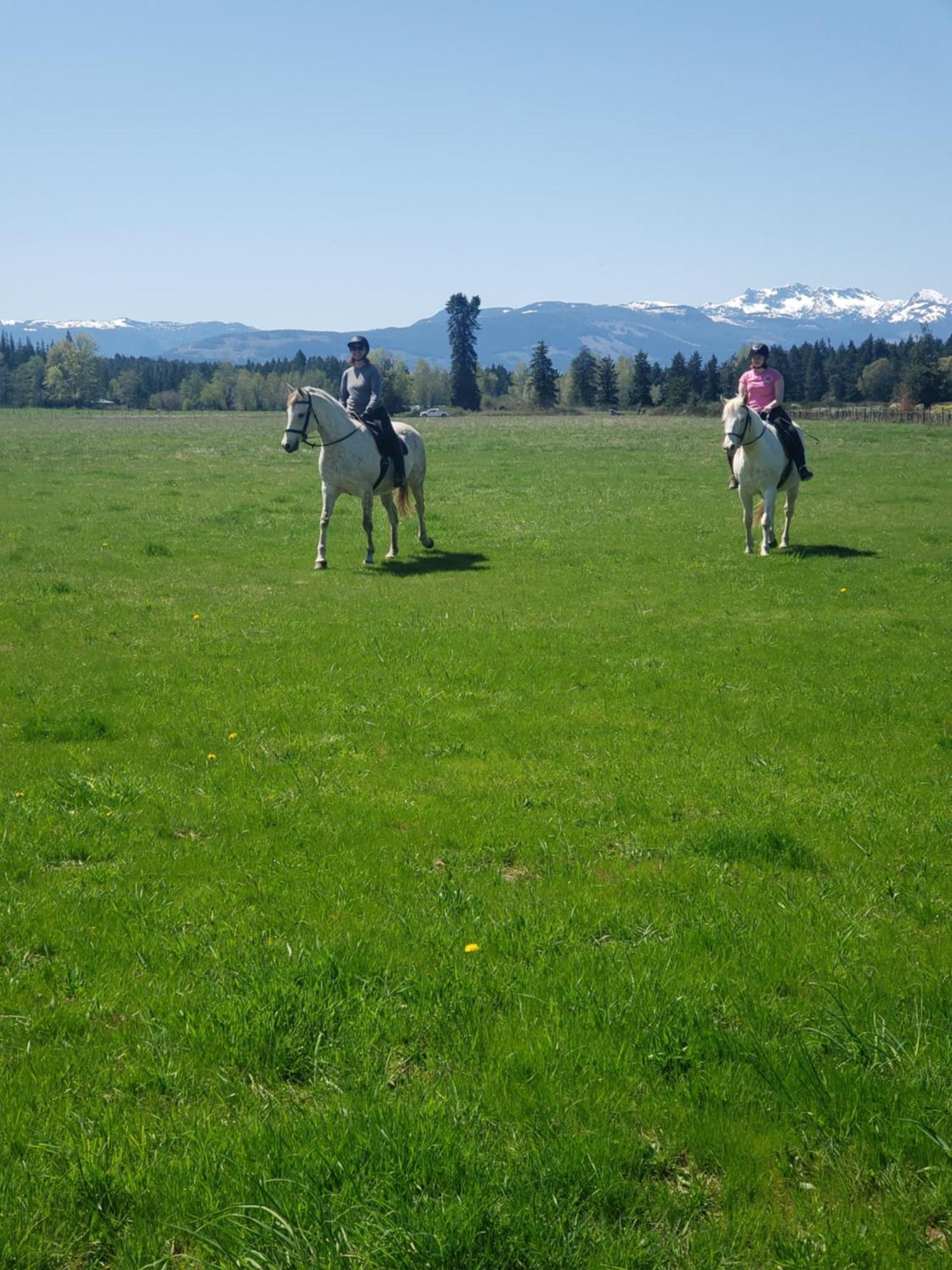 Paradise Acres Ranch Nanoose Bay Buitenkant foto