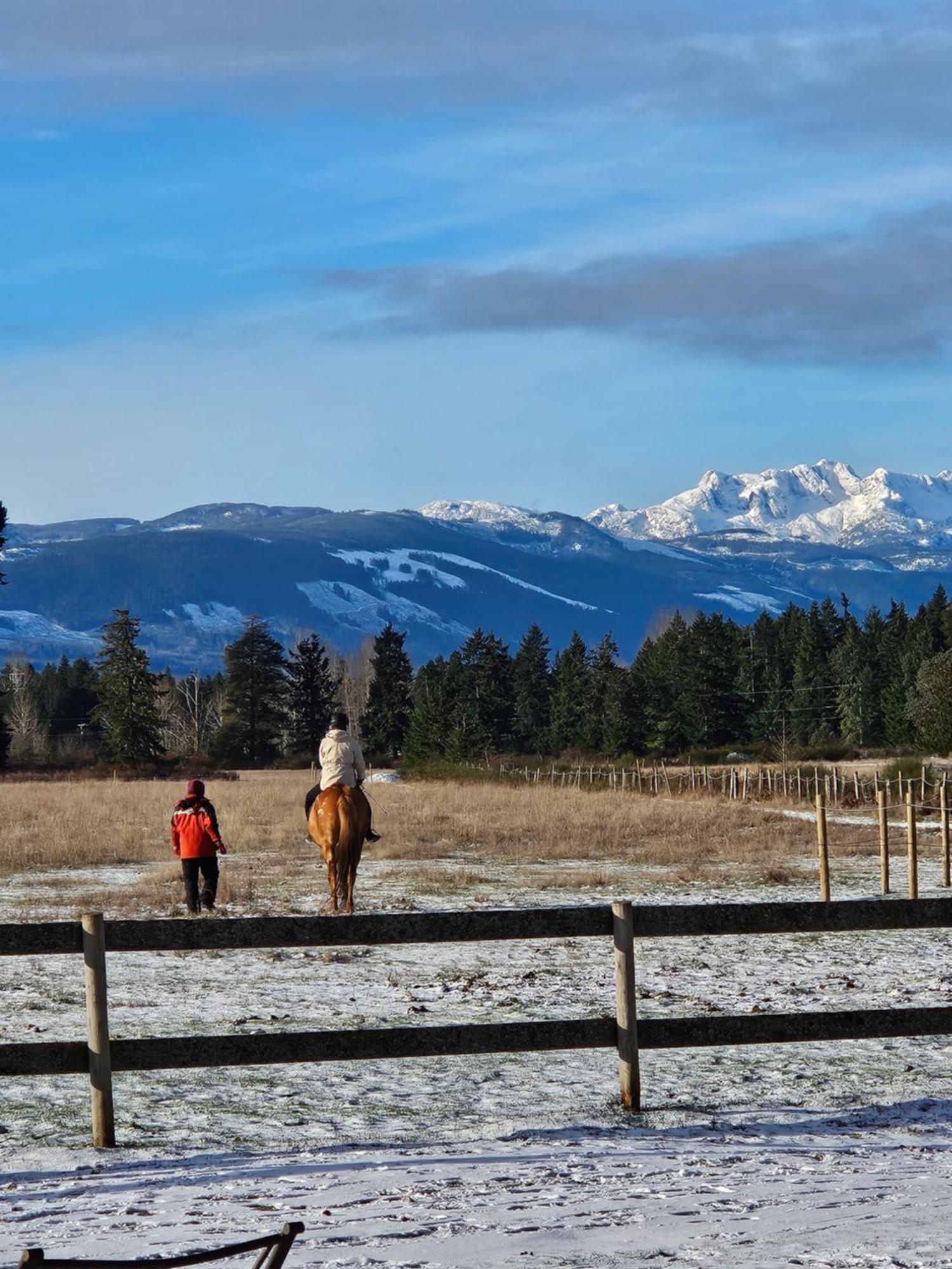 Paradise Acres Ranch Nanoose Bay Buitenkant foto