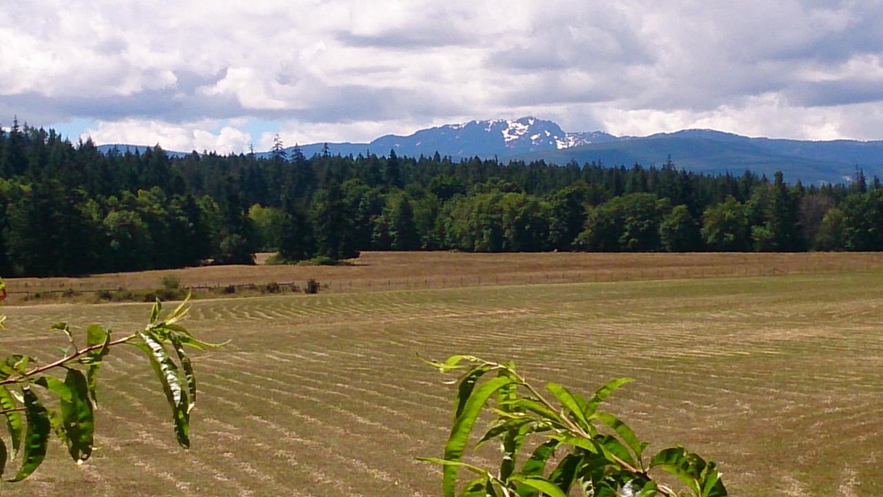 Paradise Acres Ranch Nanoose Bay Buitenkant foto