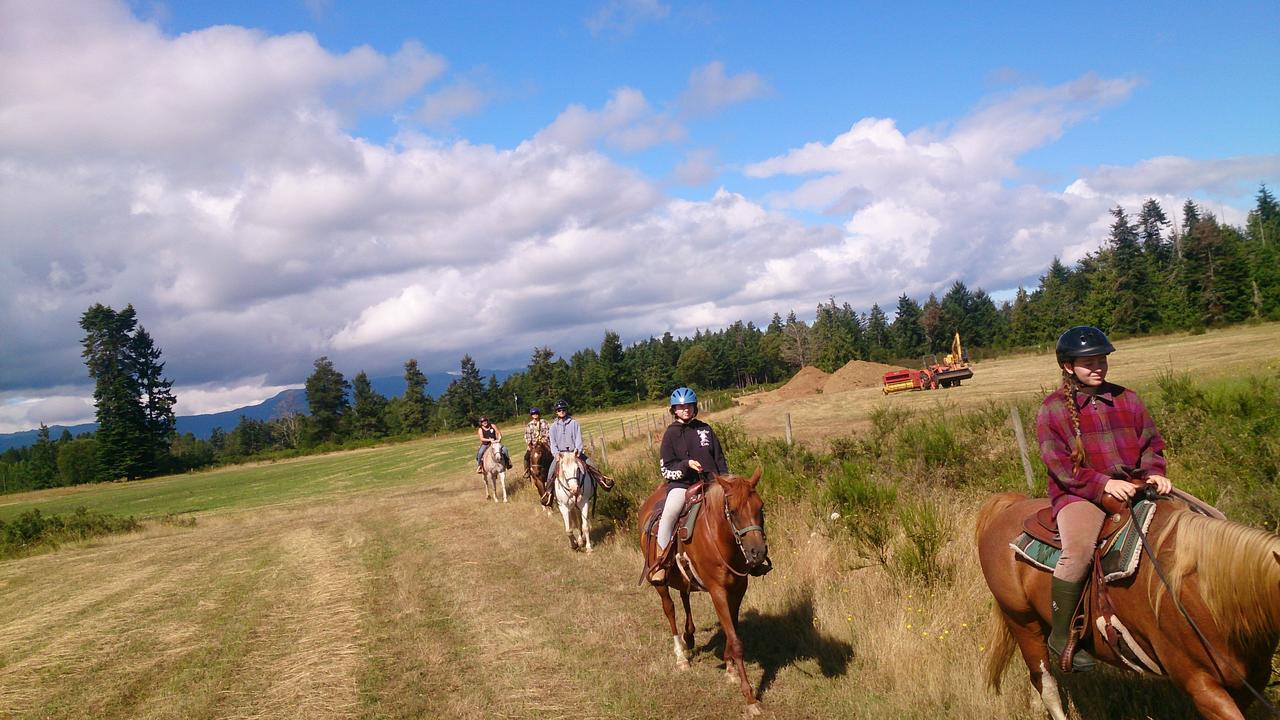 Paradise Acres Ranch Nanoose Bay Buitenkant foto