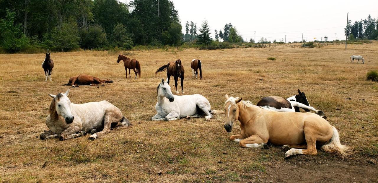 Paradise Acres Ranch Nanoose Bay Buitenkant foto