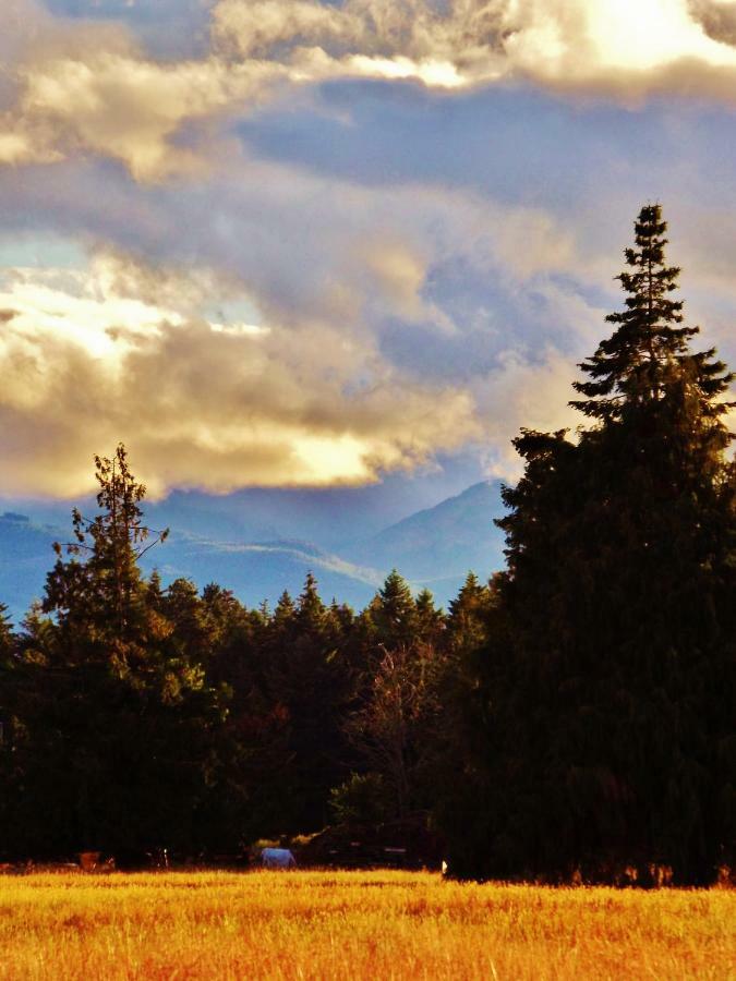 Paradise Acres Ranch Nanoose Bay Buitenkant foto